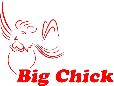 Big chick logo